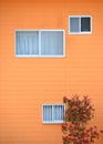 Many windows on a bright orange wall with plants Royalty Free Stock Photo