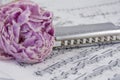 Several withered peonies with harmonica are on the musical notes Royalty Free Stock Photo