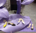 Several woman& x27;s shoes on a purple leave and mat