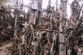 Several wooden and metal crosses on the hill