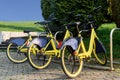 Several yellow bicycles stand in a row