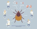 Severe fever with thrombocytopenia syndrome sfts with tick and symptoms concept Royalty Free Stock Photo