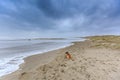 Severe storm along Dutch North Sea coast put Beach to the dunes under water Royalty Free Stock Photo