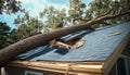 Severe Storm Damage Large Tree Fallen on House Roof, Highlighting Insurance and Structural Issues Royalty Free Stock Photo