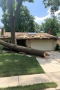 Severe Storm Damage Large Tree Falls on House, Causing Roof Damage and Safety Hazards Royalty Free Stock Photo