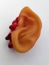 Severed ear Halloween decoration on a white background