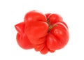 Severely malformed natural tomato isolated on white Royalty Free Stock Photo