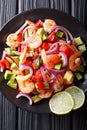 Seviche from marinated shrimp with avocado, pepper, tomatoes and