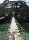 Sevilla Bamboo Bridge on Bohol. Philippines