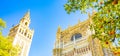 Sevilla Cathedral and Giralda tower