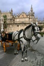 Sevilla Cathedral and typical horse cab Royalty Free Stock Photo