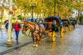 SEVILLA, SPAIN, JANUARY 7, 2016: view of a carriage with a horse waiting for passengers of a tour through the historical