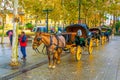 SEVILLA, SPAIN, JANUARY 7, 2016: view of a carriage with a horse waiting for passengers of a tour through the historical