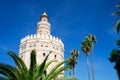 Sevilla, Spain: Torre de Oro (gold tower) Royalty Free Stock Photo