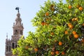 Seville Royalty Free Stock Photo