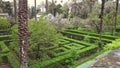 Royal Alcazars gardens in Seville