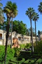 Palm Trees and garden at the Alcazar Sevile Spain 