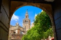 Seville cathedral Giralda tower from Alcazar