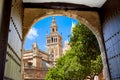 Seville cathedral Giralda tower from Alcazar