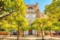 Seville Cathedral and Giralda Tower during Beautiful Sunny Day in Seville