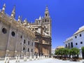 Seville Cathedral, Giralda Tower and carriages