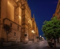 Seville Cathedral at night with the Main Door - Door of Assumption - Seville, Andalusia, Spain Royalty Free Stock Photo