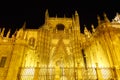 Seville Cathedral Spain at night Royalty Free Stock Photo