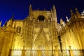 Seville cathedral. Royalty Free Stock Photo