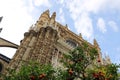 Seville cathedral and orange tree, a Symbol of Seville and Spain Royalty Free Stock Photo