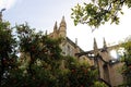 Seville cathedral and orange tree, a Symbol of Seville and Spain Royalty Free Stock Photo