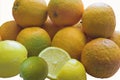 Seville Oranges Royalty Free Stock Photo