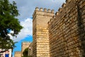 Seville Real Alcazar fortress Sevilla Spain