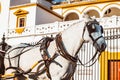 Seville Real Maestranza bullring plaza toros de Sevilla in andalusia Spain