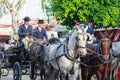 Seville, Spain - April 28, 2015: Nice Horse drawn carriage Royalty Free Stock Photo