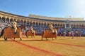 Seville, spain, Bullring La Maestranza Royalty Free Stock Photo