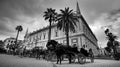 Seville, Spain - 10 February 2020 :Black and White Photography of Horses and Carriages Waiting for Tourists for a ride in Seville