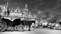 Seville, Spain - 10 February 2020 :Black and White Photography of Horses and Carriages Waiting for Tourists for a ride in Seville
