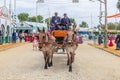 Seville, Spain - May 5, 2019: Young and beautiful women on a horse drawn carriage during the the April Fair of Seville on May, 5, Royalty Free Stock Photo