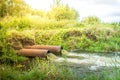 Sewage pipes pollute the water/sewage pipes pollute the water in the river. Environmental pollution Royalty Free Stock Photo