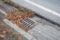 Sewage sump in the leaves