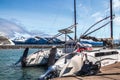 Seward Alaska USA - Catamaran moored at Seward Boat Harbor in Alaska with part of cruise ship and snow covered