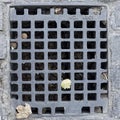 Sewer grate