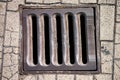 Sewer grate Royalty Free Stock Photo