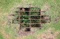 The sewer grate on the lawn - drainage for heavy rain. Top view Royalty Free Stock Photo