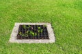 The sewer grate on the lawn. Royalty Free Stock Photo