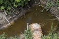 Sewer Leading into Forest