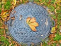 Sewer manhole in the autumn foliage Royalty Free Stock Photo