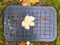 Sewer manhole in the autumn foliage Royalty Free Stock Photo