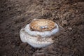 Sewer manhole at a construction site. Dug land around the sewer.