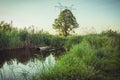 Sewer pours out waste to the lake/ecology subject: Waste water flow from water pipe into lake Royalty Free Stock Photo